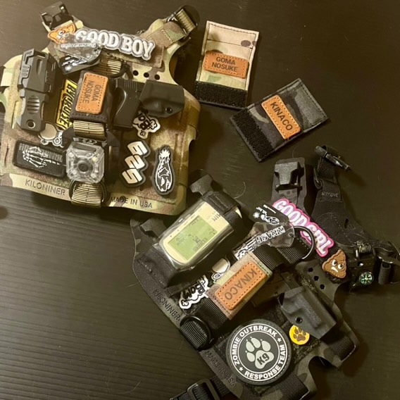WanTagCase